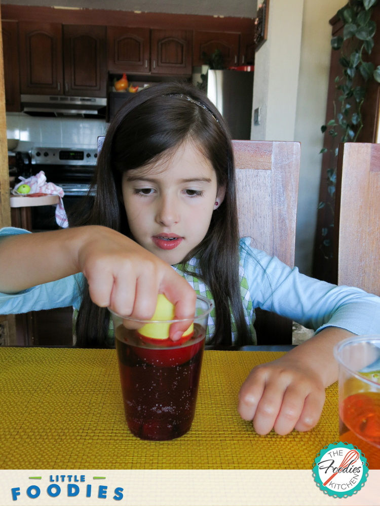 little-foodies-two-toned-eggs_25457988682_o